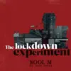 Kool M Da Loop digga - The Lockdown Experiment